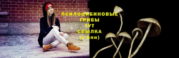 мдпв Богданович