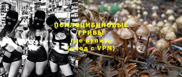 гидропоника Бородино