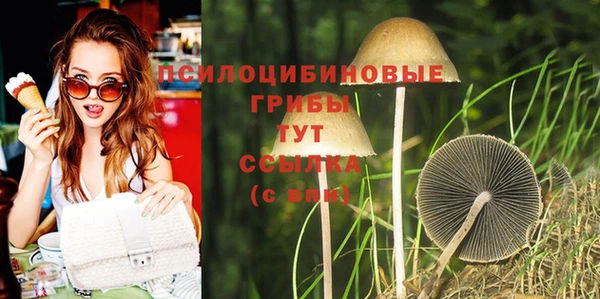 марки nbome Белокуриха